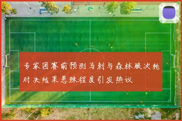 专家团赛前预测马刺与森林狼次轮对决结果悬殊程度引发热议